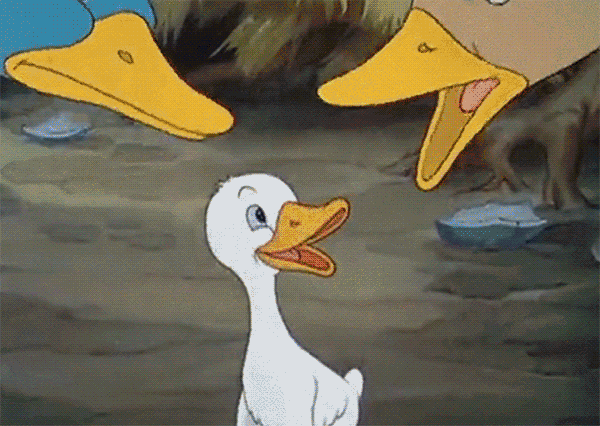 76017cababcc4c6295c71bcbe1af8ee7.gif