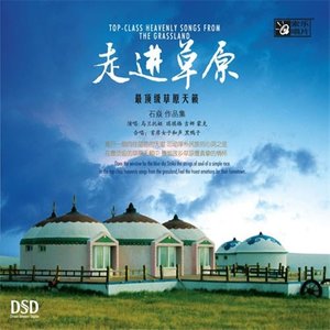 爱上草原爱上你 - 琪琪格
