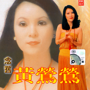 爱人的眼睛 - 黄莺莺