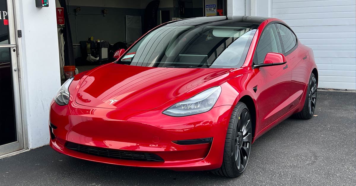 Elon-Musk-Anwar-1.jpg