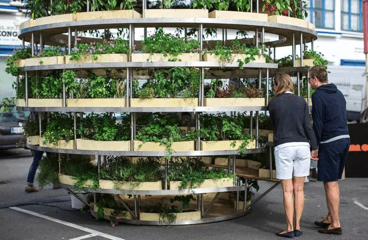 plant6.gif