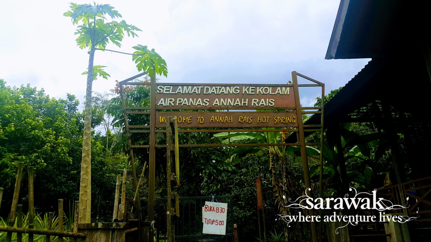 KCH_annarais07.jpg