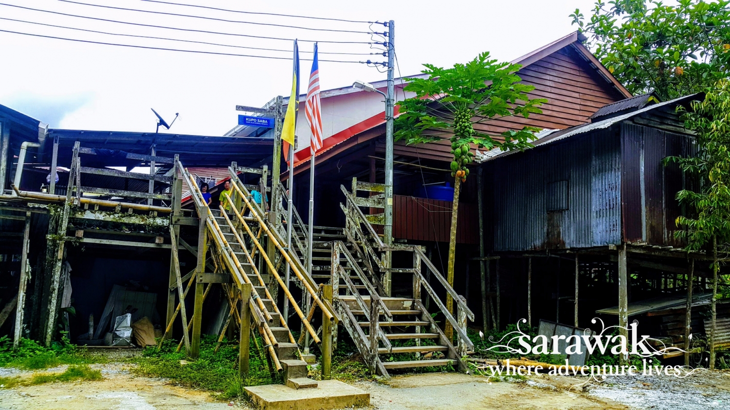 KCH_annarais15.jpg