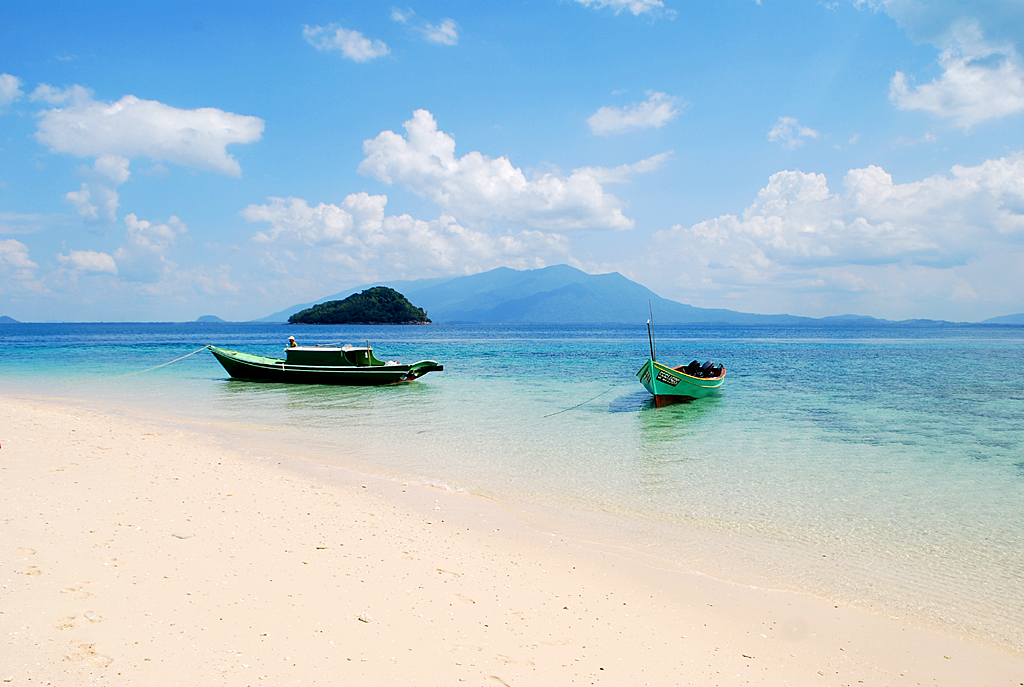 turtle-volunteering-talang-island-3.jpg