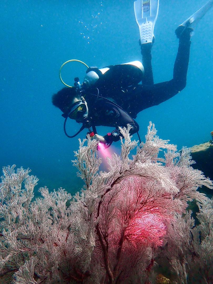 Sarawak-diving.jpeg