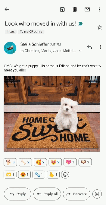 4570d37904e7119.gif