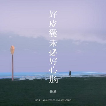好皮囊未必好心肠 - 任夏
