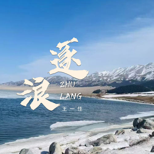 逐浪 - 王一佳
