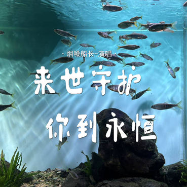来世守护你到永恒 - 烟嗓船长