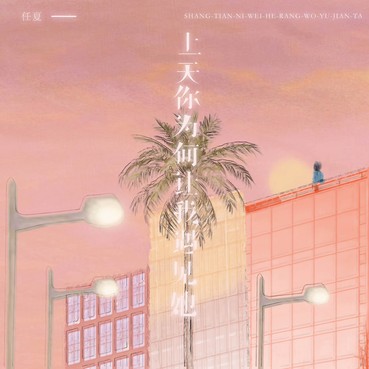 上天你为何让我遇见她 - 任夏