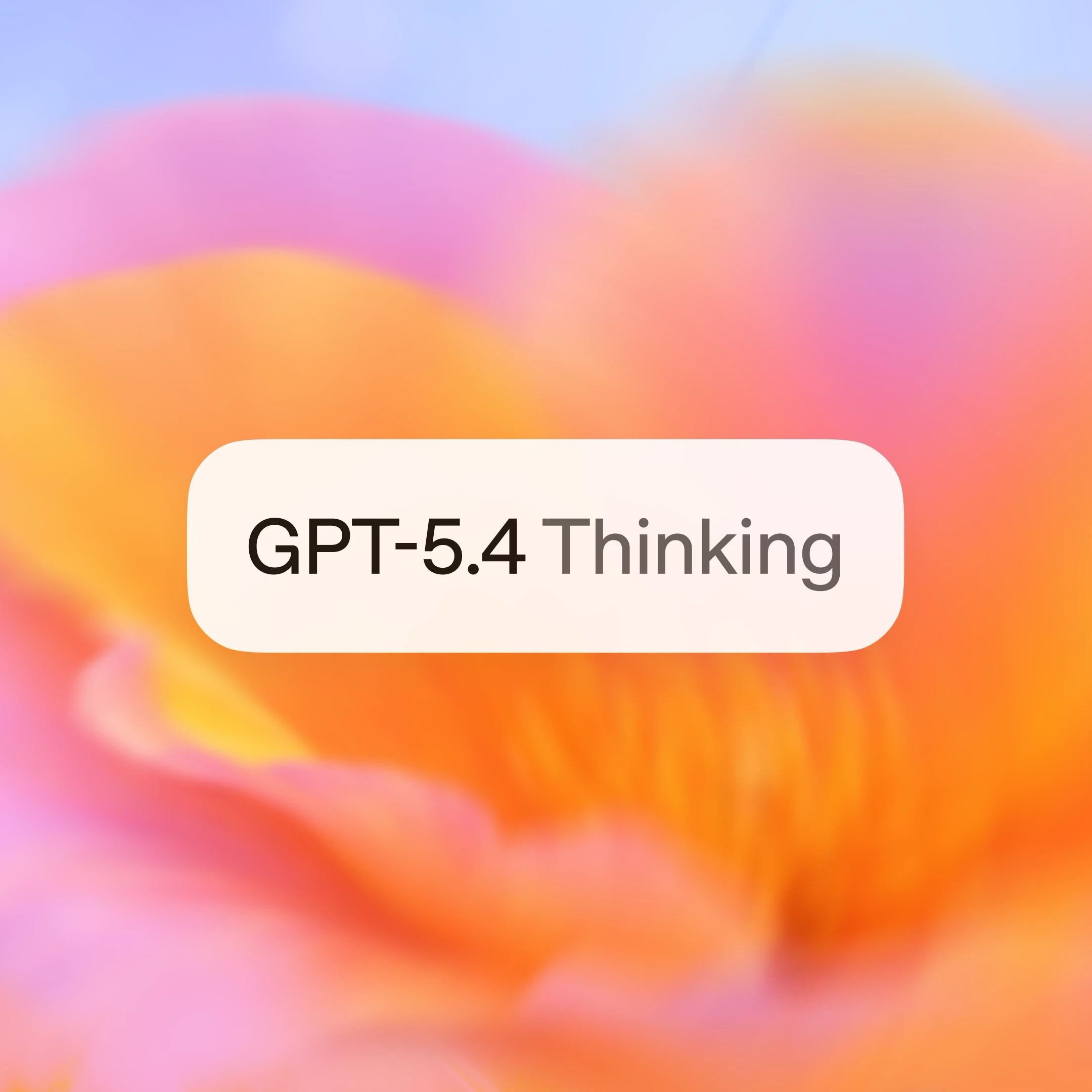 13c628b5-4f24-4876-befd-0ecf53322cfe.png