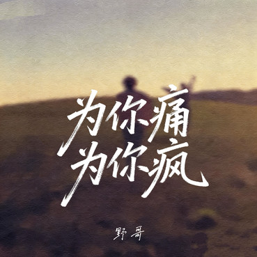 为你疯为你痛 - 野哥