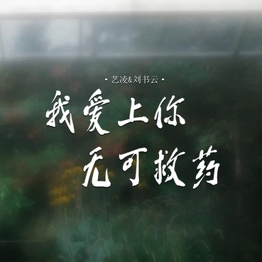 2006214371.jpg