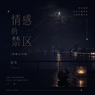 情感的禁区 (深情女声版) - 佳音