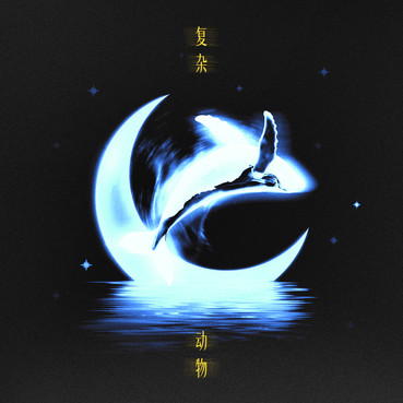 复杂动物 - 于贞