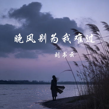 晚风别为我难过 - 刘书云