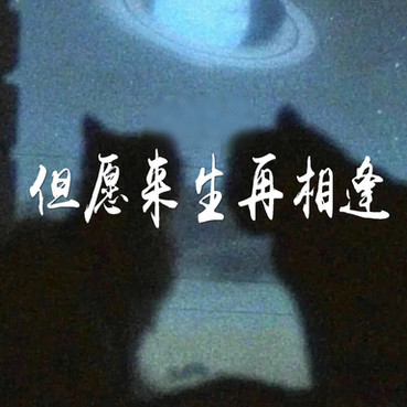1291640415.jpg
