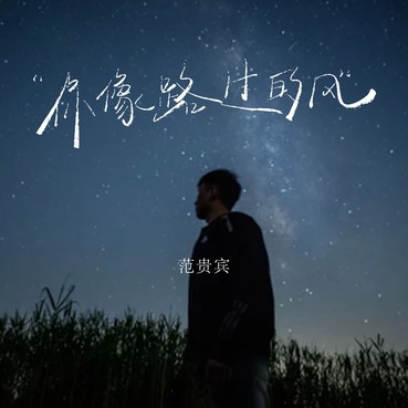 你像路过的风 - 范贵宾