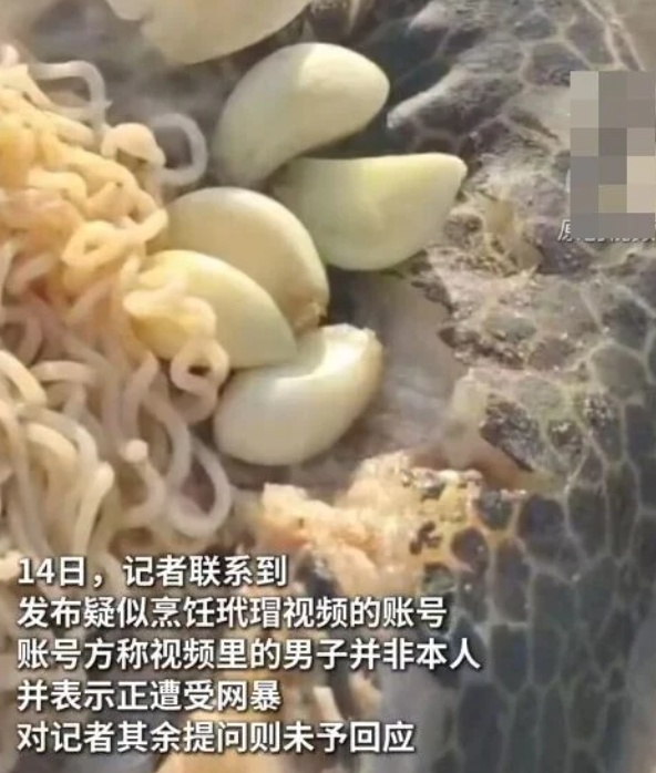 在印尼猎杀烹食濒危玳瑁　中国男离境前遭拘捕