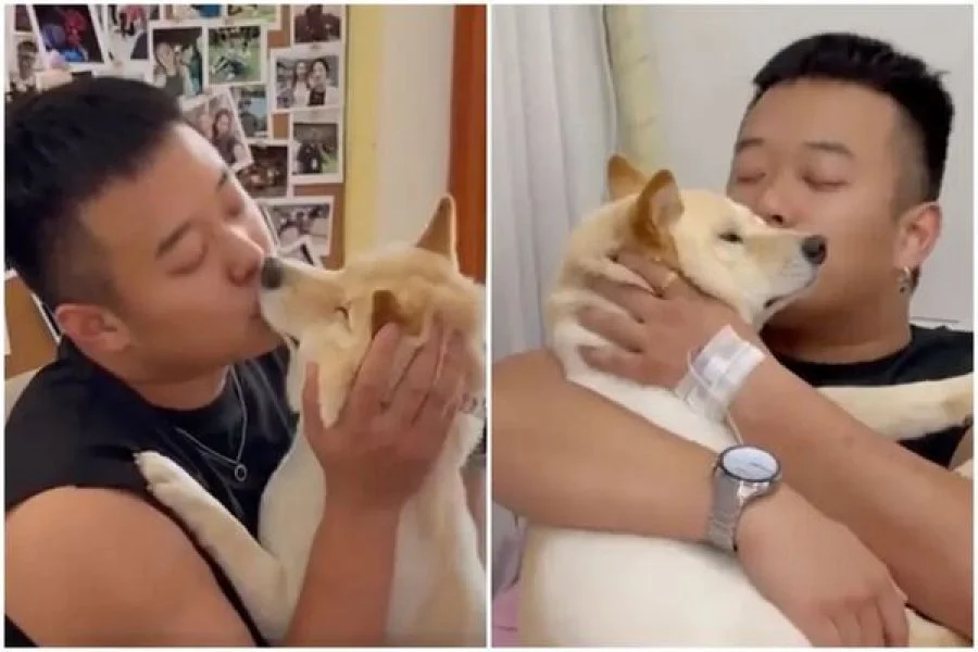吃野菇现幻觉！　男子“把爱犬看成前女友”狂亲 7 小时